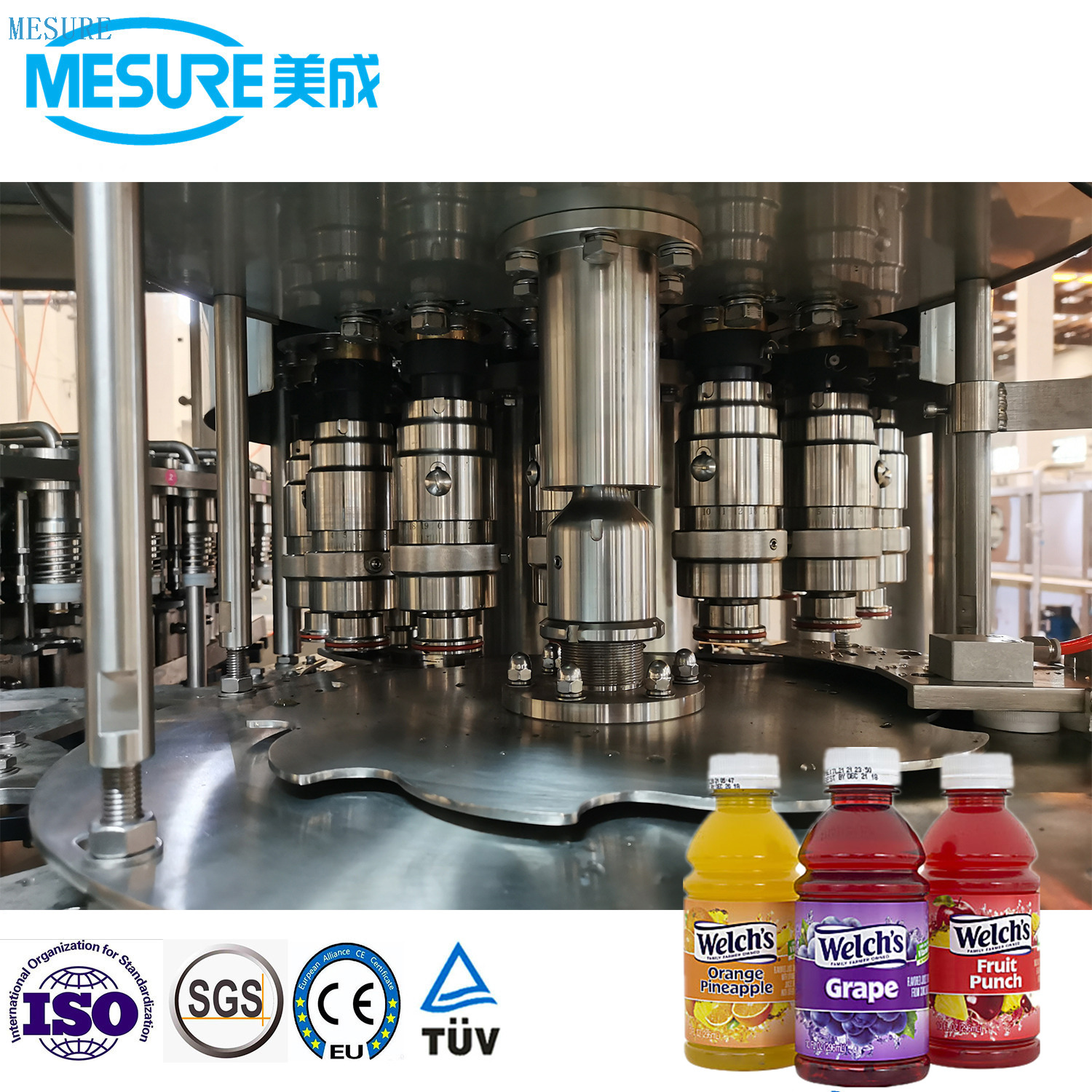 24000bph taze meyve suyu dolum makinesi 