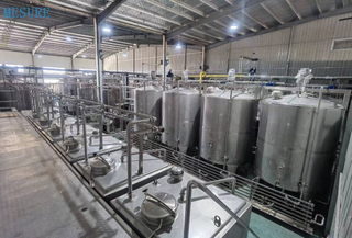 Su Arıtma Sistemi RO Su Filtresi İçme Su Tesisi için Ters Osmoz Sistemi